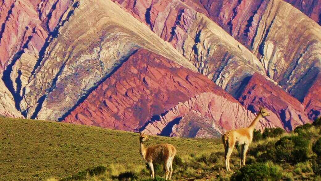 Jujuy colores